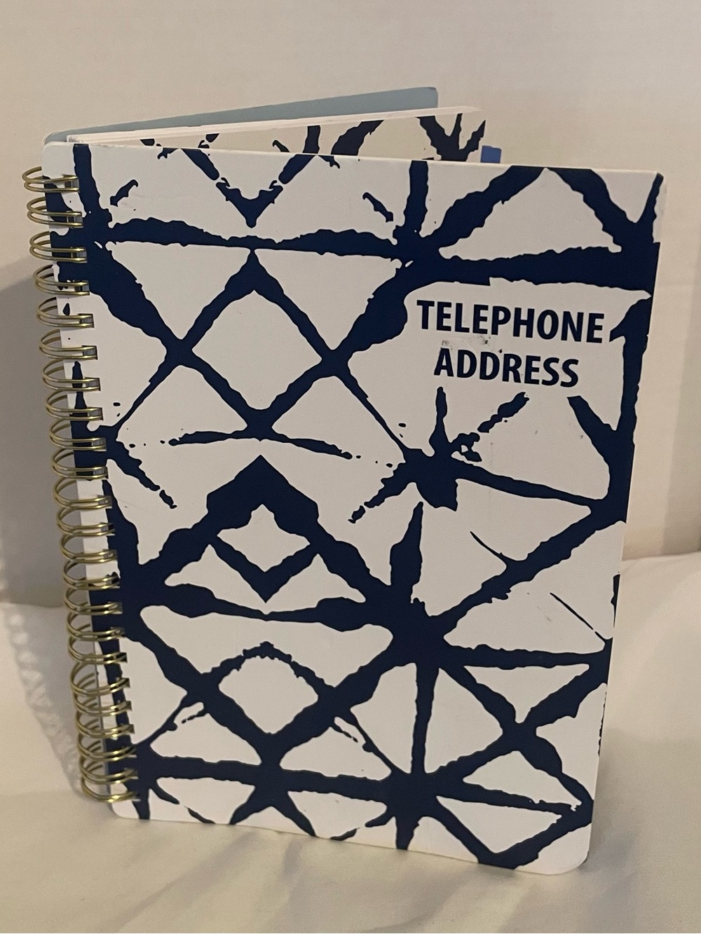 PlanAhead “See It Bigger” Large Print Phone/Address/Password Book – spiral bound